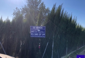 Alcolea del Río 2475&nbsp;m² 