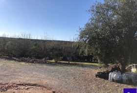 Alcolea del Río 2475&nbsp;m² 