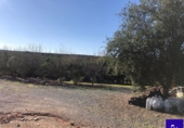 Non-developable land for sale in Alcolea del Río ref: TR181227 photo