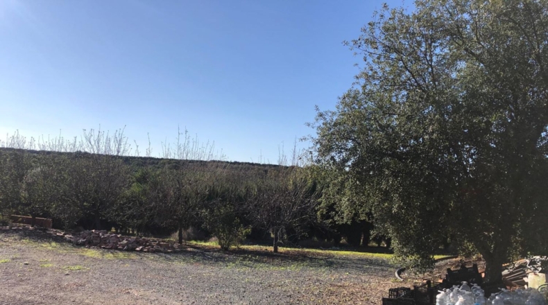 Seville - Alcolea del Río - 2475m2