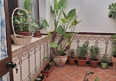 Casa de poble en venda a Lora del Río ref.: TR233473 foto
