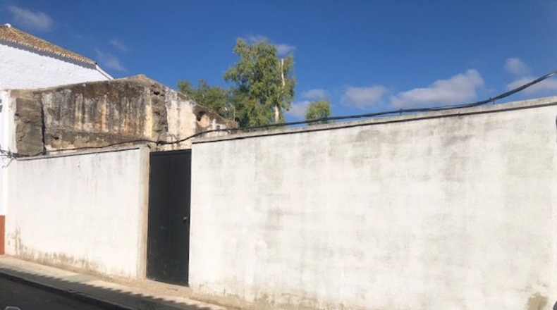 Sevilla - Alcolea del Río - 666m2