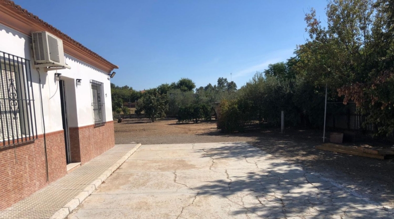 Севилья - Lora del Río - 10790m2