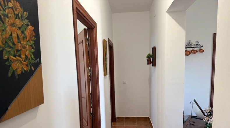 Sevilla - Cantillana - 5000m2
