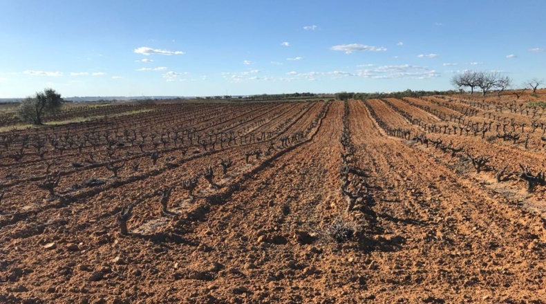Huelva - Bollullos Par del Condado - 23000m2