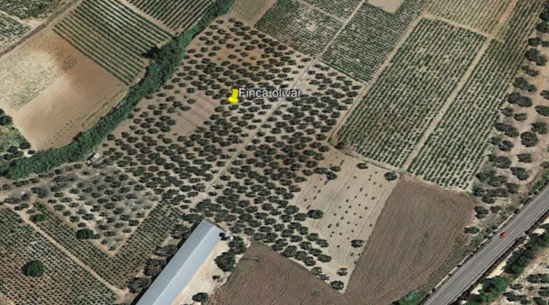 Huelva - Rociana del Condado - 22000m2