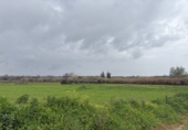 Non-developable land for sale in Bollullos Par del Condado ref: TR252415 photo
