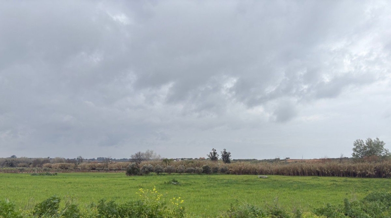 Huelva - Bollullos Par del Condado - 12000m2