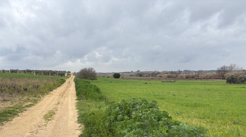 Huelva - Bollullos Par del Condado - 12000m2