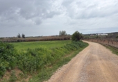 Non-developable land for sale in Bollullos Par del Condado ref: TR252415 photo