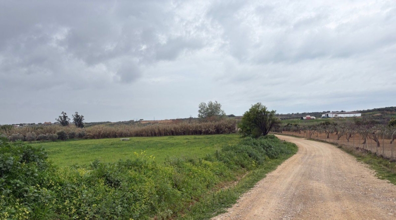 Huelva - Bollullos Par del Condado - 12000m2
