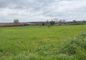 Non-developable land for sale in Bollullos Par del Condado ref: TR252415 photo