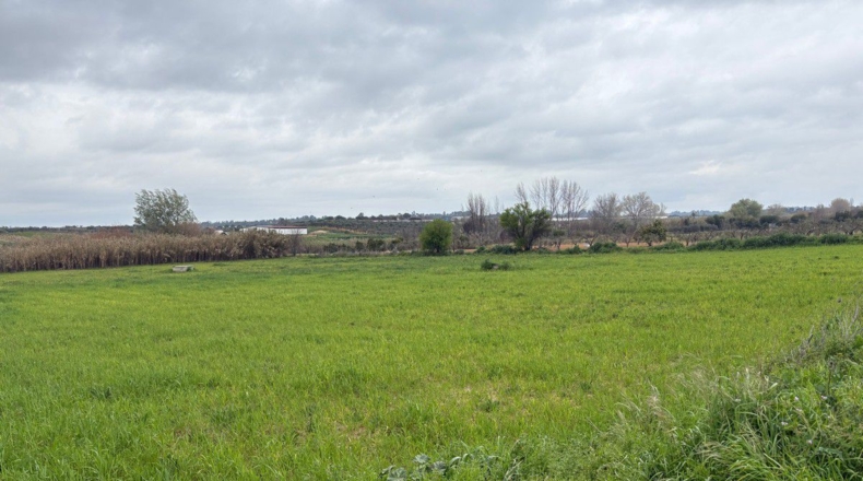 Huelva - Bollullos Par del Condado - 12000m2