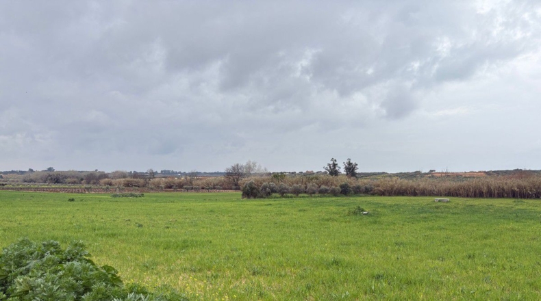 Huelva - Bollullos Par del Condado - 12000m2