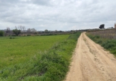 Non-developable land for sale in Bollullos Par del Condado ref: TR252415 photo