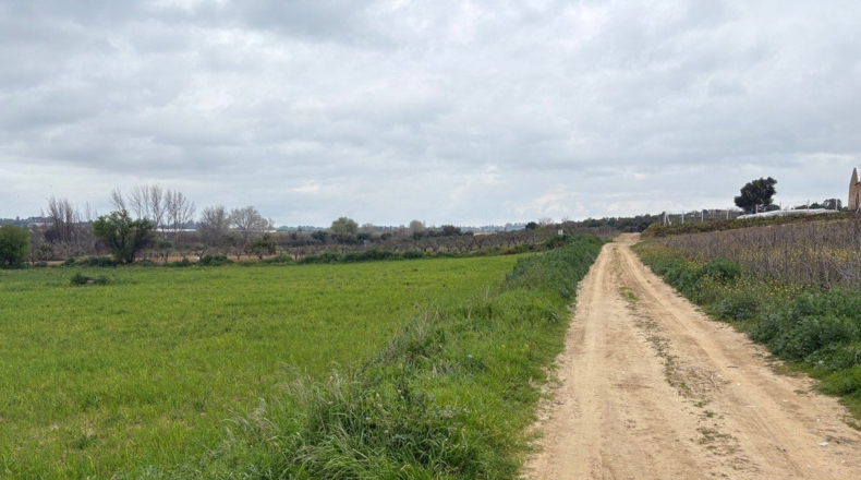 Huelva - Bollullos Par del Condado - 12000m2