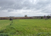 Non-developable land for sale in Bollullos Par del Condado ref: TR252415 photo