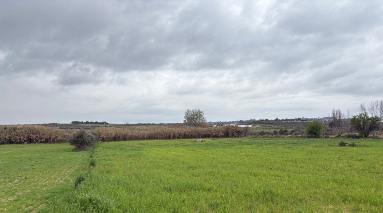 Huelva - Bollullos Par del Condado - 12000m2