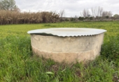 Non-developable land for sale in Bollullos Par del Condado ref: TR252415 photo