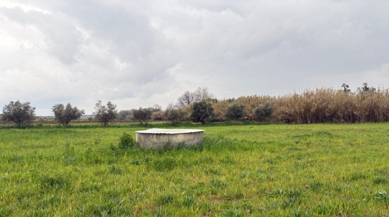 Huelva - Bollullos Par del Condado - 12000m2