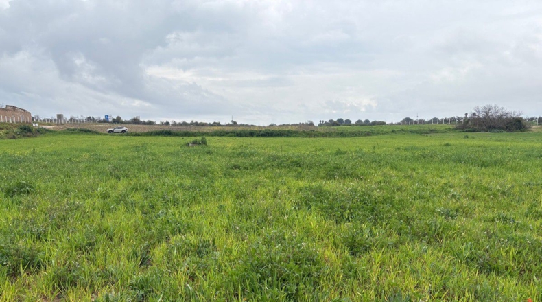 Huelva - Bollullos Par del Condado - 12000m2