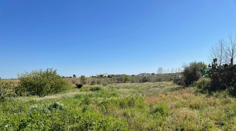 Huelva - Bollullos Par del Condado - 18000m2