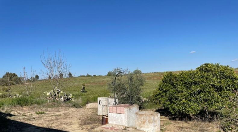 Huelva - Bollullos Par del Condado - 18000m2