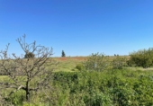 Finca rústica en venda a Bollullos Par del Condado ref.: TR16026 foto