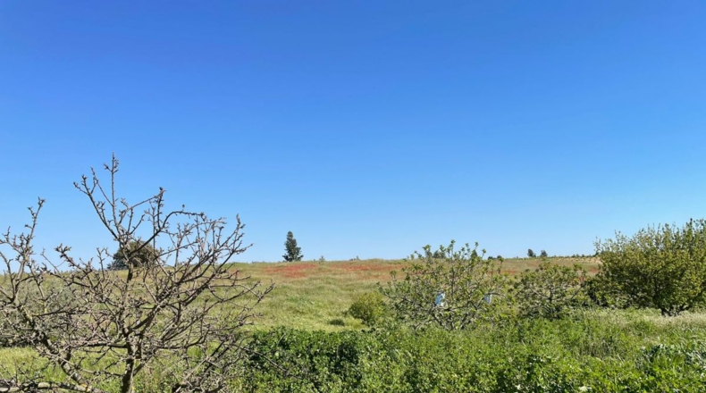 Huelva - Bollullos Par del Condado - 18000m2