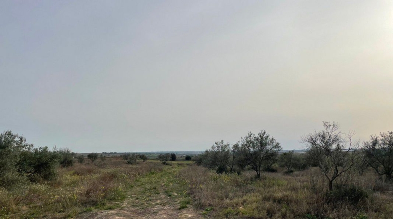 Huelva - La Palma del Condado - 13368m2