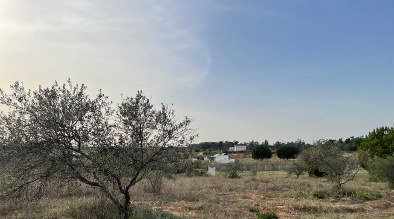 Huelva - La Palma del Condado - 13368m2