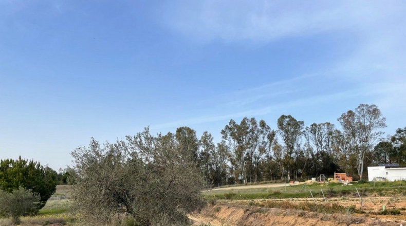 Huelva - La Palma del Condado - 13368m2