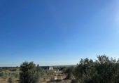 Rural estate for sale in Bollullos Par del Condado ref: TR13458 photo
