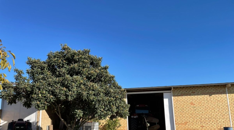 Huelva - Bollullos Par del Condado - 30000m2