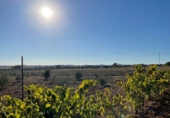 Rural estate for sale in Bollullos Par del Condado ref: TR13458 photo
