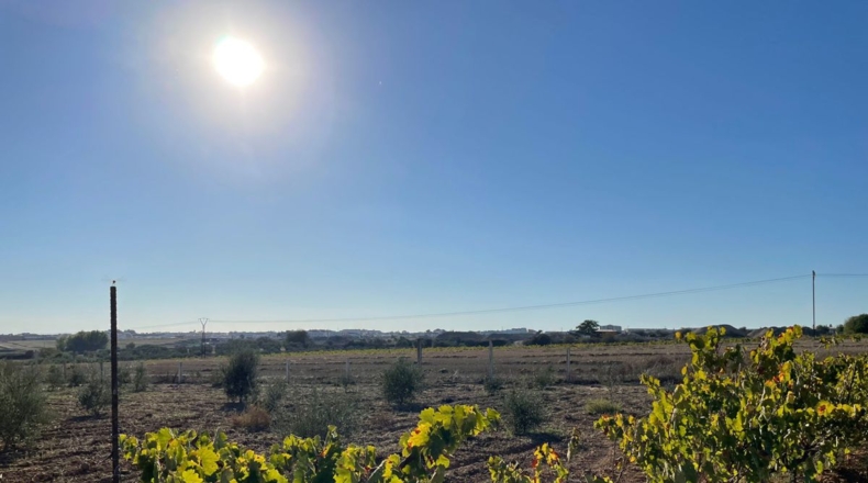 Huelva - Bollullos Par del Condado - 30000m2