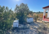 Rural estate for sale in Bollullos Par del Condado ref: TR90545 photo