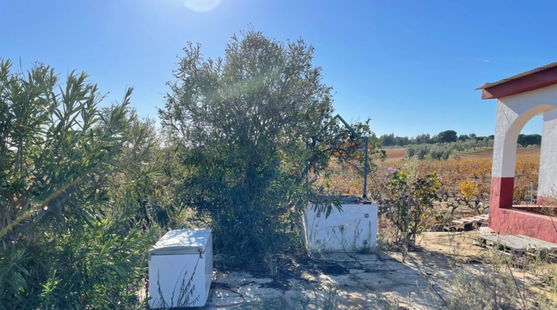 Huelva - Almonte - 80000m2