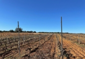 Rural estate for sale in Bollullos Par del Condado ref: TR90545 photo