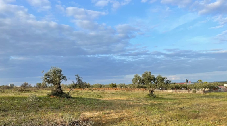Huelva - Bollullos Par del Condado - 5500m2