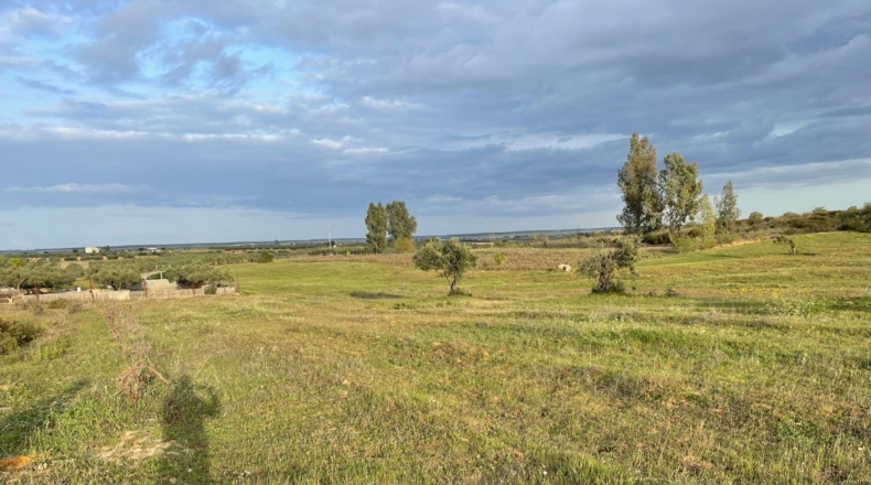 Huelva - Bollullos Par del Condado - 5500m2
