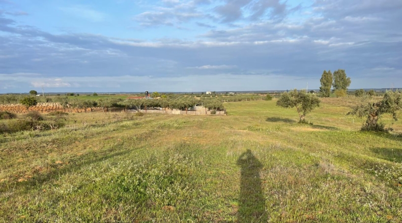 Huelva - Bollullos Par del Condado - 5500m2
