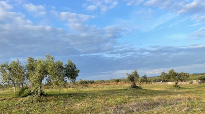Huelva - Bollullos Par del Condado - 5500m2