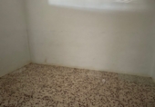 Rural estate for sale in Bollullos Par del Condado ref: TR49738 photo