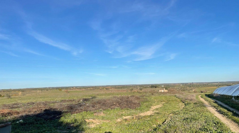 Huelva - Bollullos Par del Condado - 40000m2