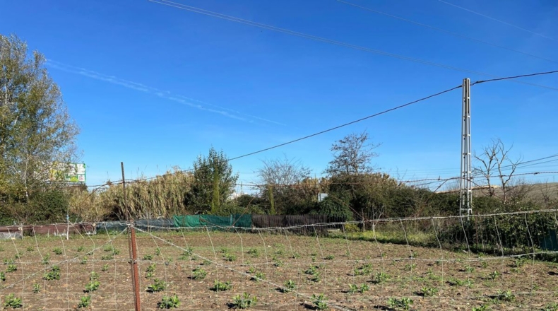 Huelva - La Palma del Condado - 4386m2
