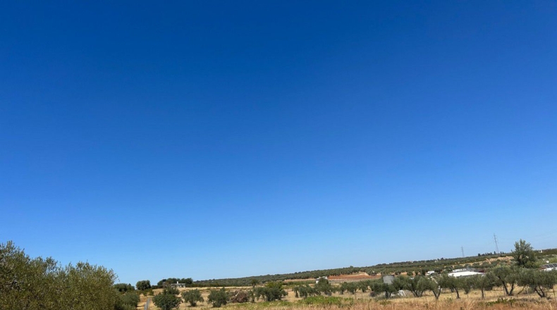 Huelva - Almonte - 40000m2