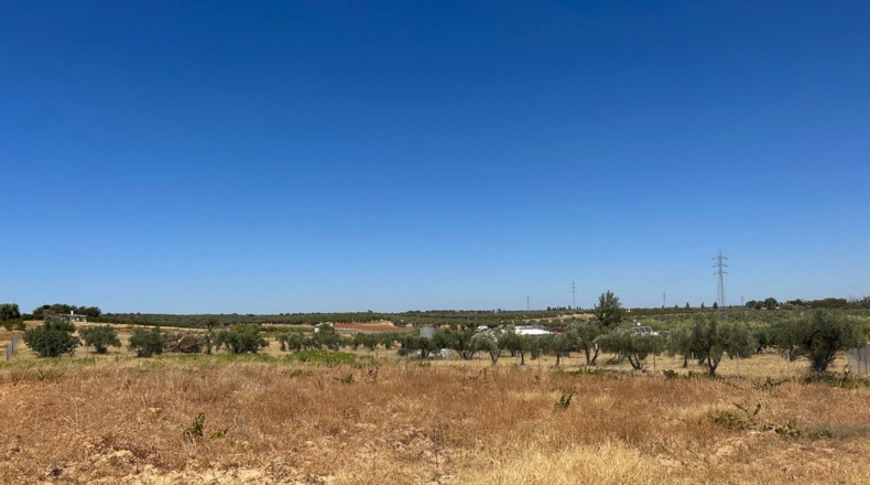 Huelva - Almonte - 40000m2