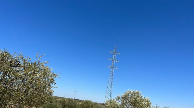 Huelva - Almonte - 40000m2