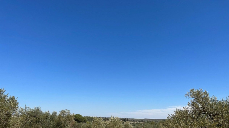 Huelva - Almonte - 40000m2